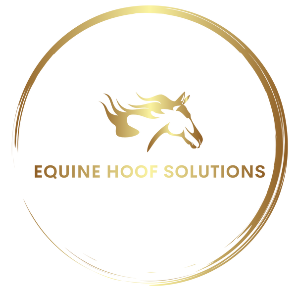 EQUINE HOOF SOLUTIONS
